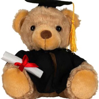 Mumbles Graduation Bear