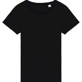 Native Spirit Ladies T-Shirt