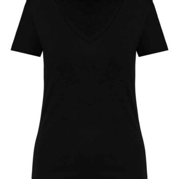 Native Spirit Ladies V Neck T-Shirt